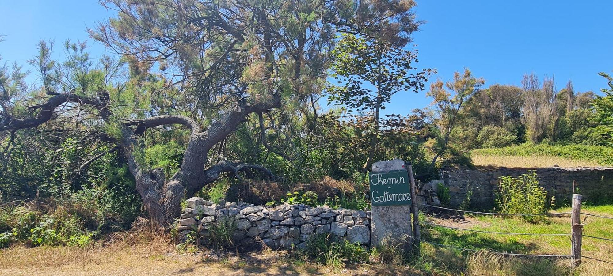 הוילה Relais Des Iles Saint Marcouf מראה חיצוני תמונה